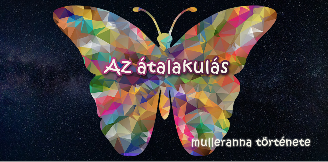 You are currently viewing Az átalakulás (mulleranna története)