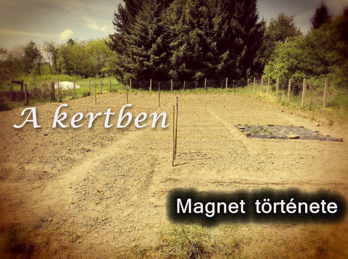 Read more about the article A kertben (Magnet története)