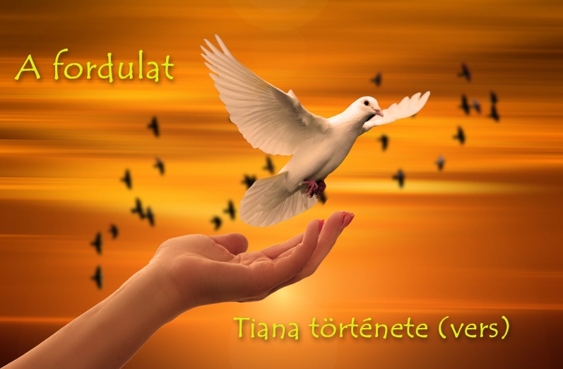 Read more about the article A fordulat (Tiana története; vers)