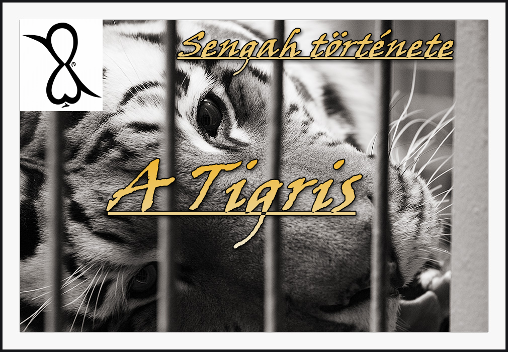 You are currently viewing A Tigris (Sengah története)
