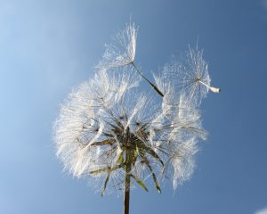 Arról, hogy a saját dolgoddal foglalkozz, tanácsot ugyanazzal a dologgal kapcsolatban egy leheletnyivel többször ne nagyon adj, azt is csak akkor, ha legalább utalnak rá, hogy kérik