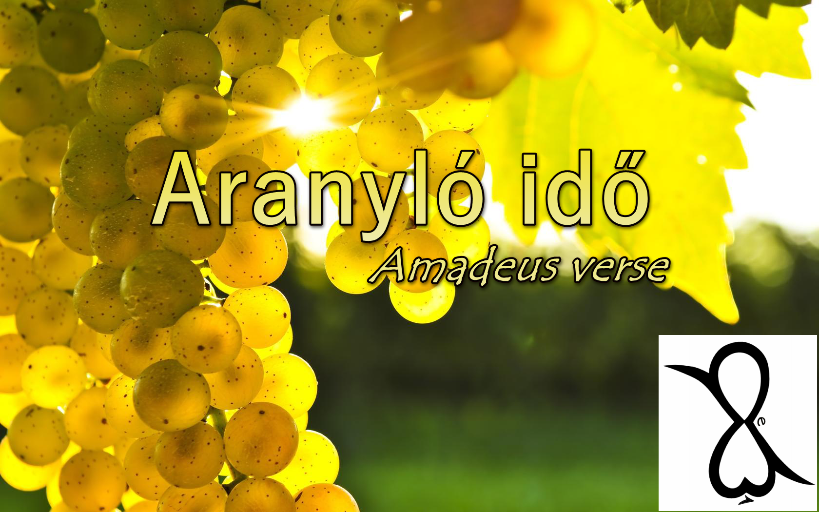 Read more about the article Aranyló idő (Amadeus verse)