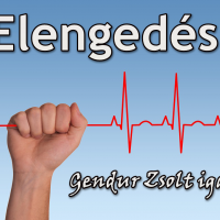 Elengedés (Gendur Zsolt igaz története)