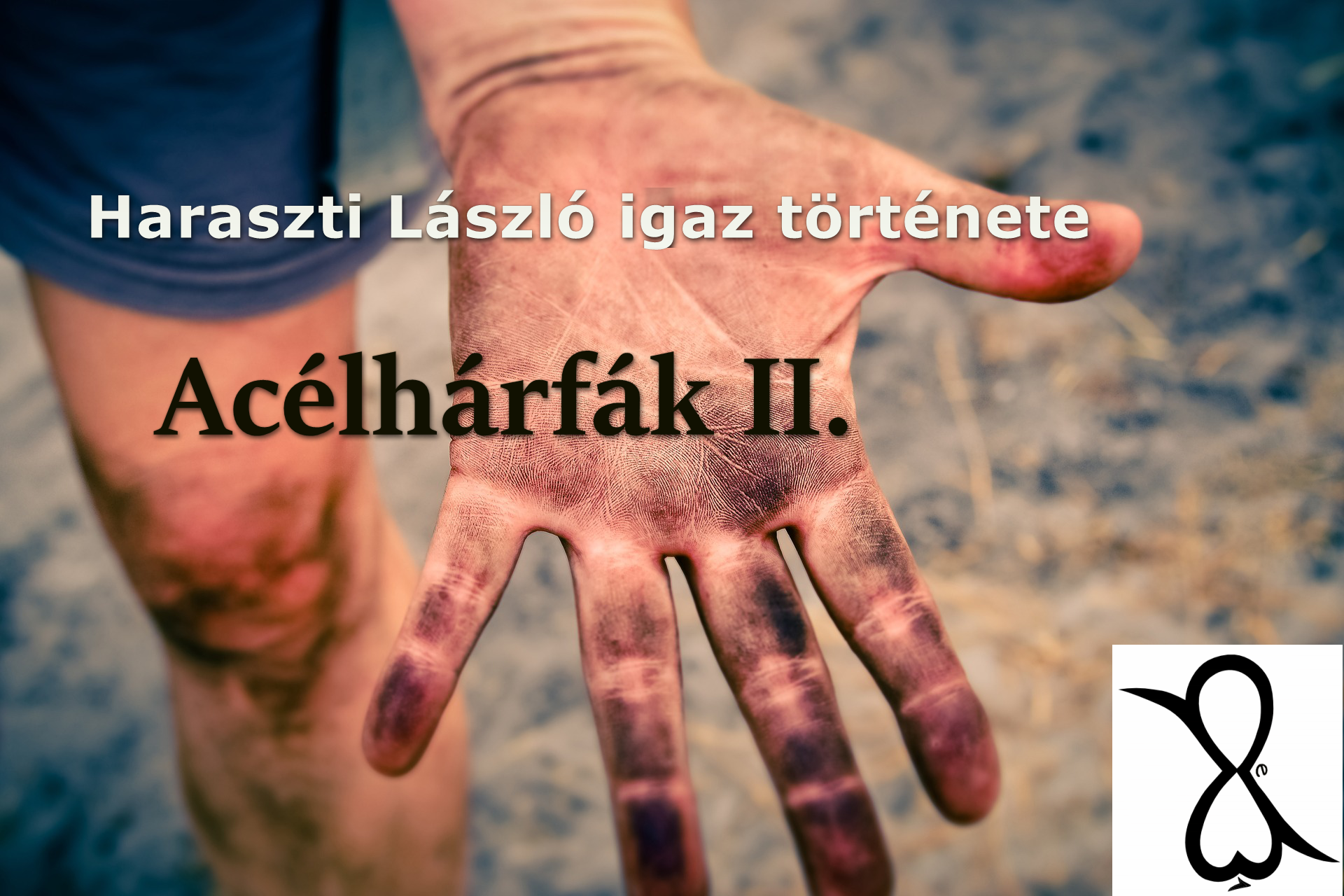 Read more about the article Acélhárfák II. (Haraszti László igaz története)