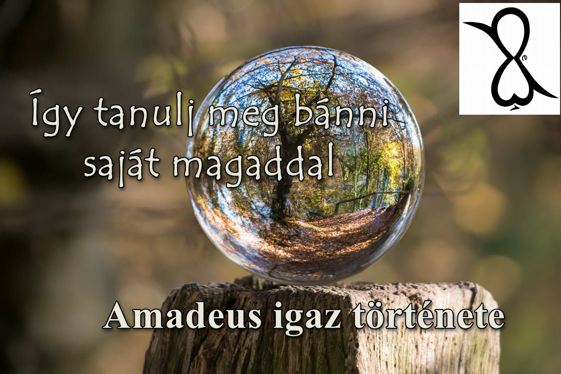 Read more about the article Így tanulj meg bánni saját magaddal (Amadeus igaz története)