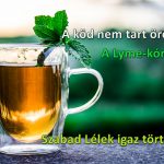 Lyme-kór