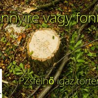 Mennyire vagy fontos? (PZsFelhő igaz története)