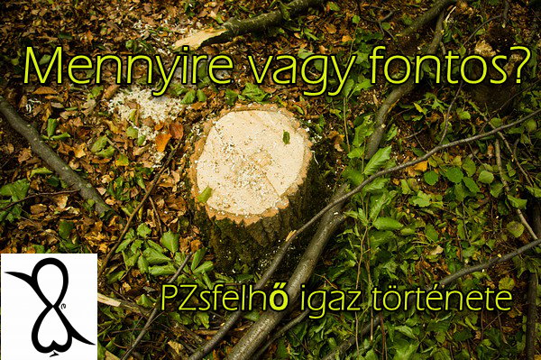 You are currently viewing Mennyire vagy fontos? (PZsFelhő igaz története)