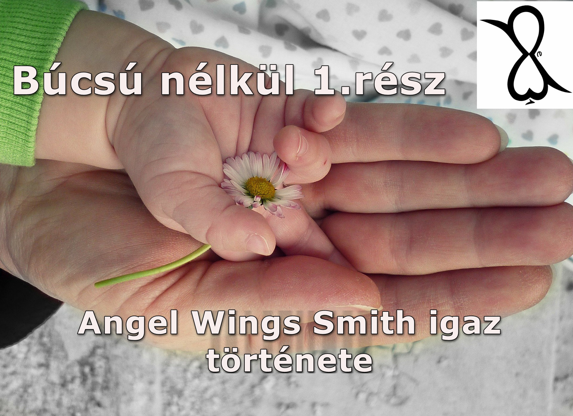 You are currently viewing Búcsú nélkül 1. rész (Angel Wings Smith igaz története)