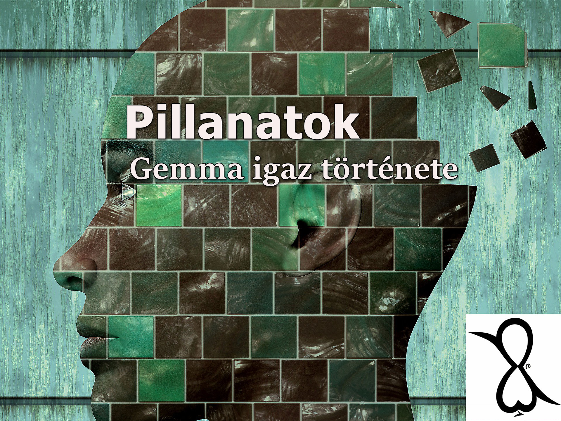 Read more about the article Pillanatok (Gemma igaz története)