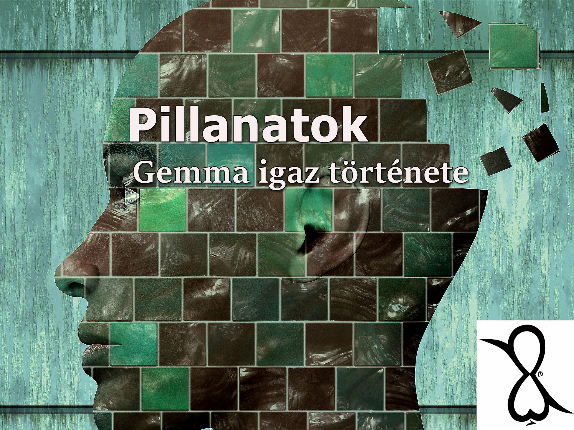 You are currently viewing Pillanatok (Gemma igaz története)