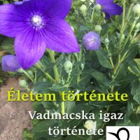 Életem története (Vadmacska igaz története)