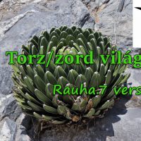 Torz/zord világ (Rauha.7 verse)