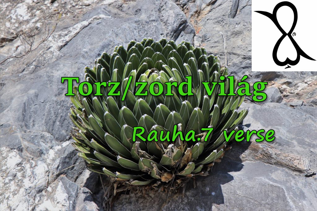 Read more about the article Torz/zord világ (Rauha.7 verse)