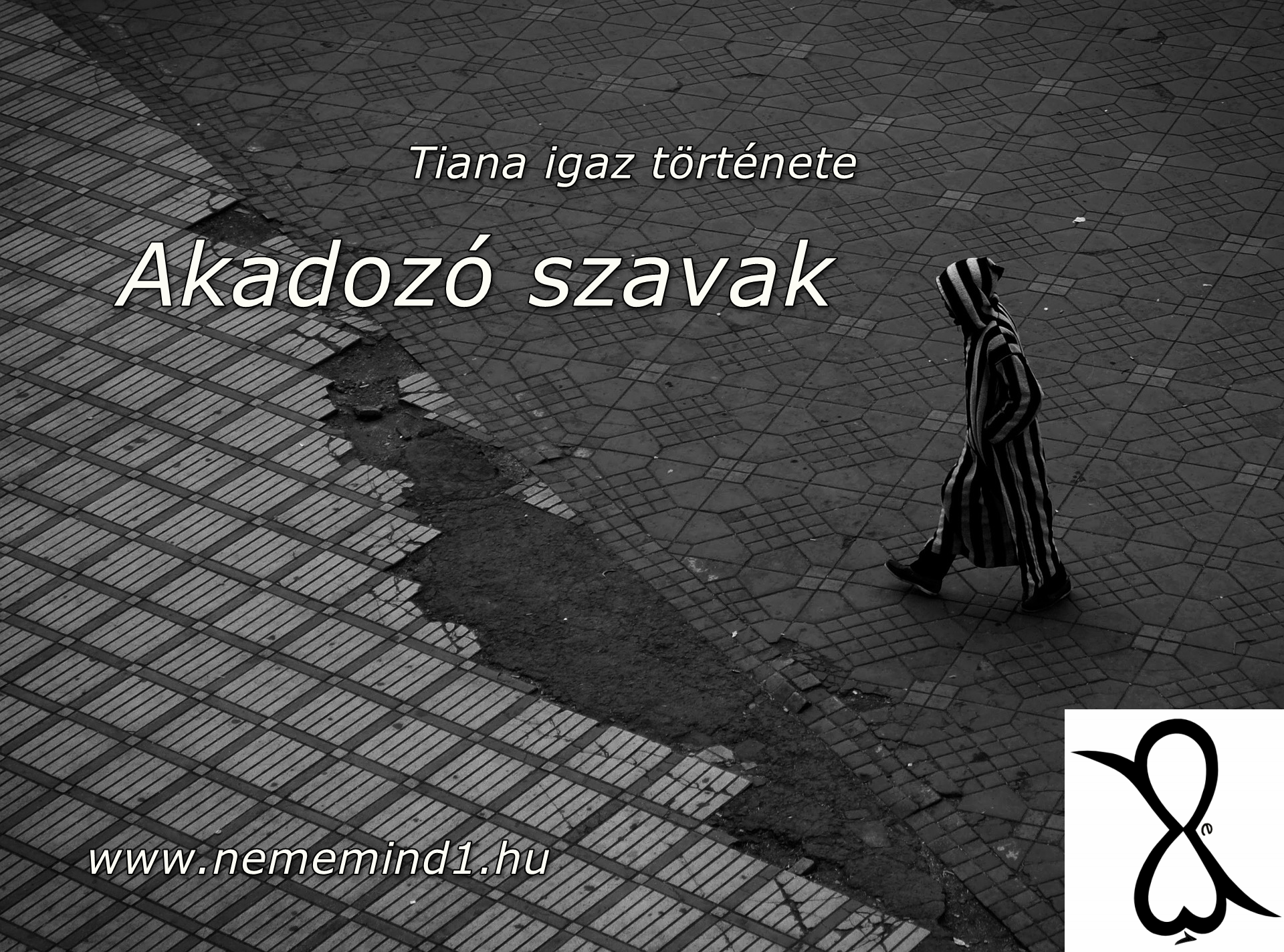 Read more about the article Akadozó szavak (Tiana igaz története)