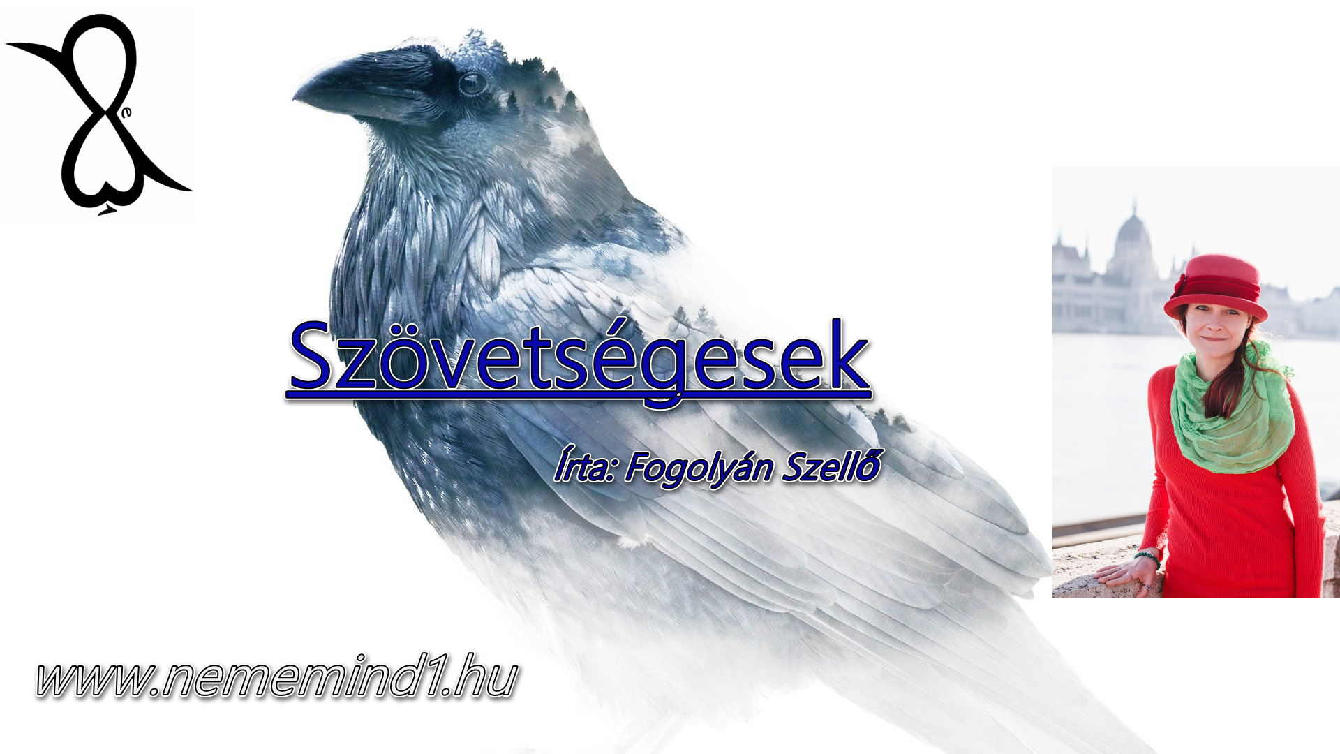 Read more about the article Szövetségesek (Írta: Fogolyán Szellő)