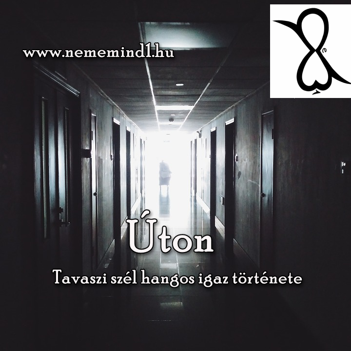 Read more about the article Tavaszi szél: Úton (Hangos igaz történet)