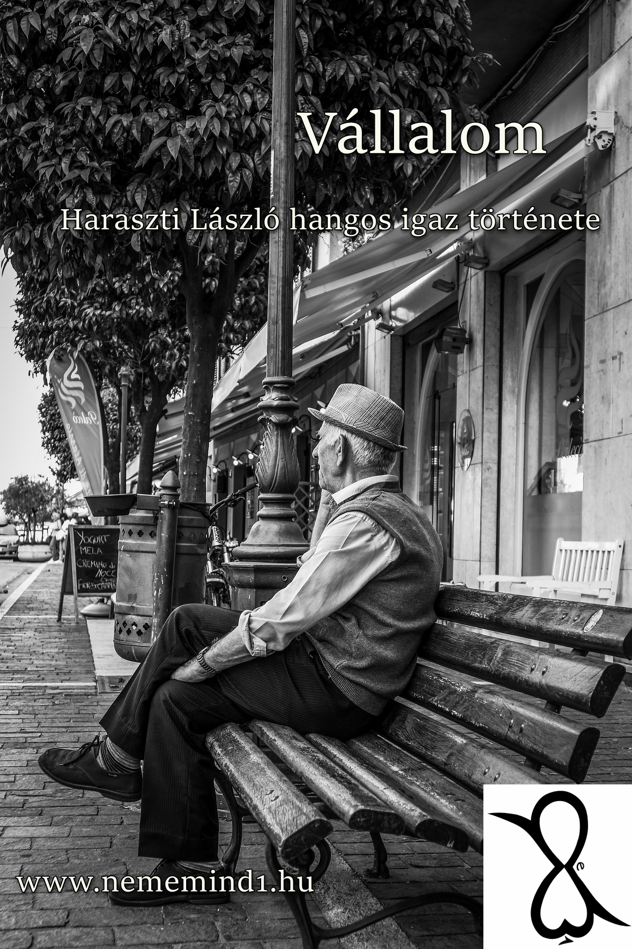 Read more about the article Haraszti László: Vállalom (Hangos igaz történet)