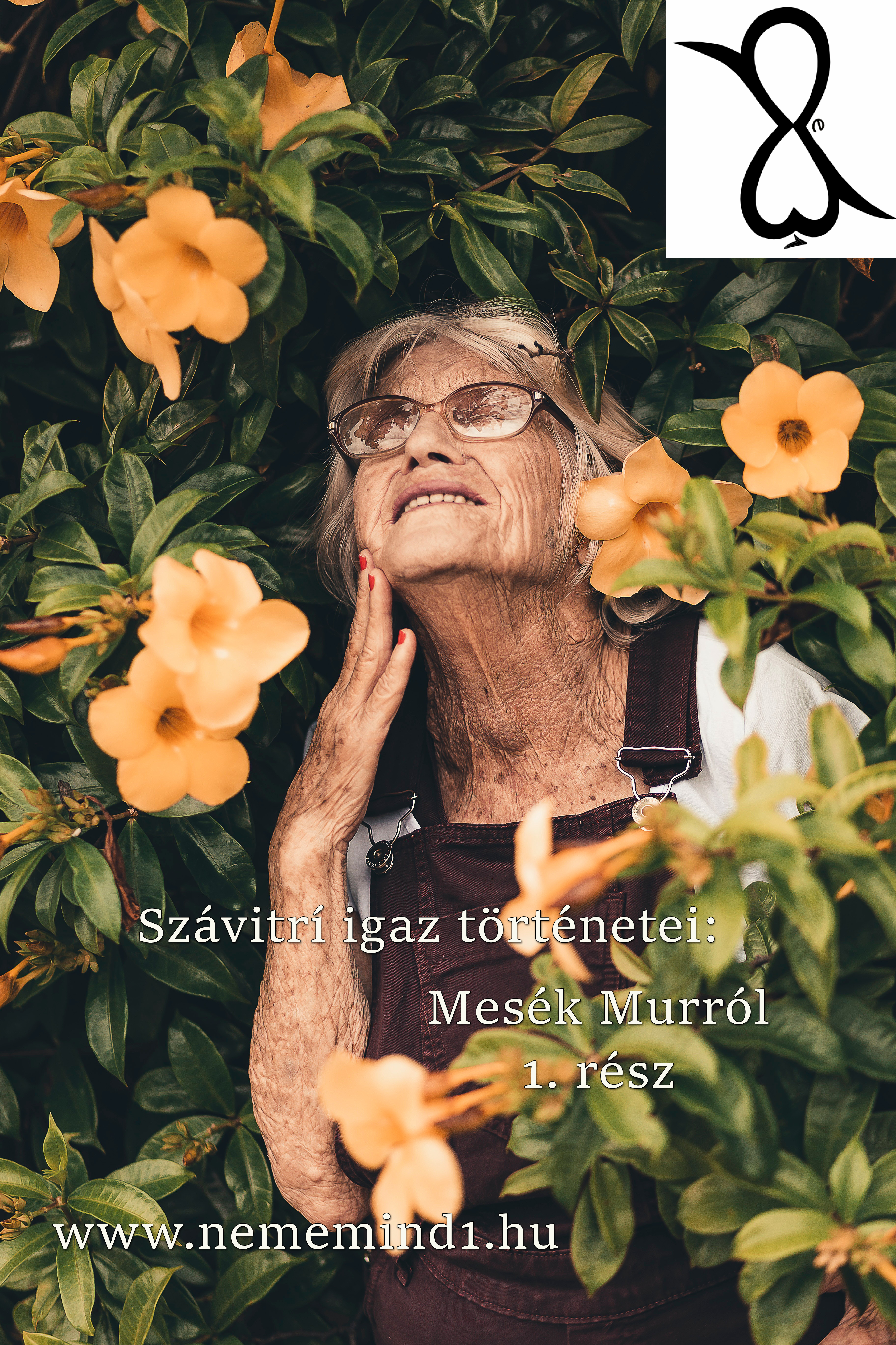 Read more about the article Mesék Murról 1. rész (Szávitrí igaz története)