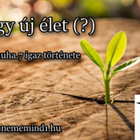 Egy új élet (?) – Rauha.7 igaz története