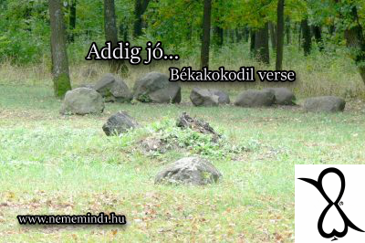 You are currently viewing Addig jó…(Békakokodil verse)
