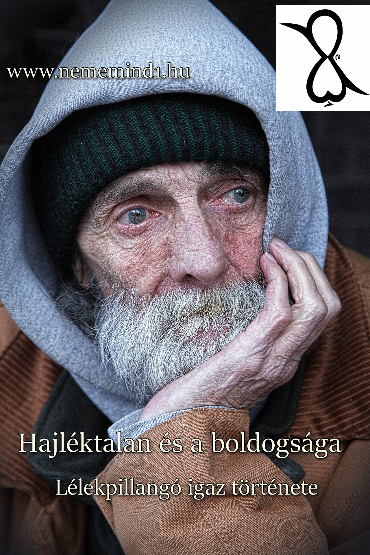 Read more about the article Hajléktalan és a boldogsága (Lélekpillangó igaz története)