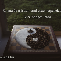 Evica: Karma és minden, ami ezzel kapcsolatos (Hangos igaz történet)