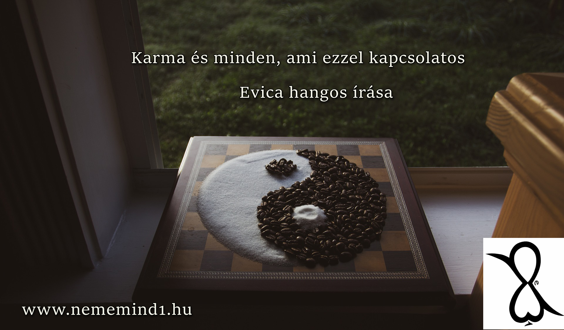 Read more about the article Evica: Karma és minden, ami ezzel kapcsolatos (Hangos igaz történet)