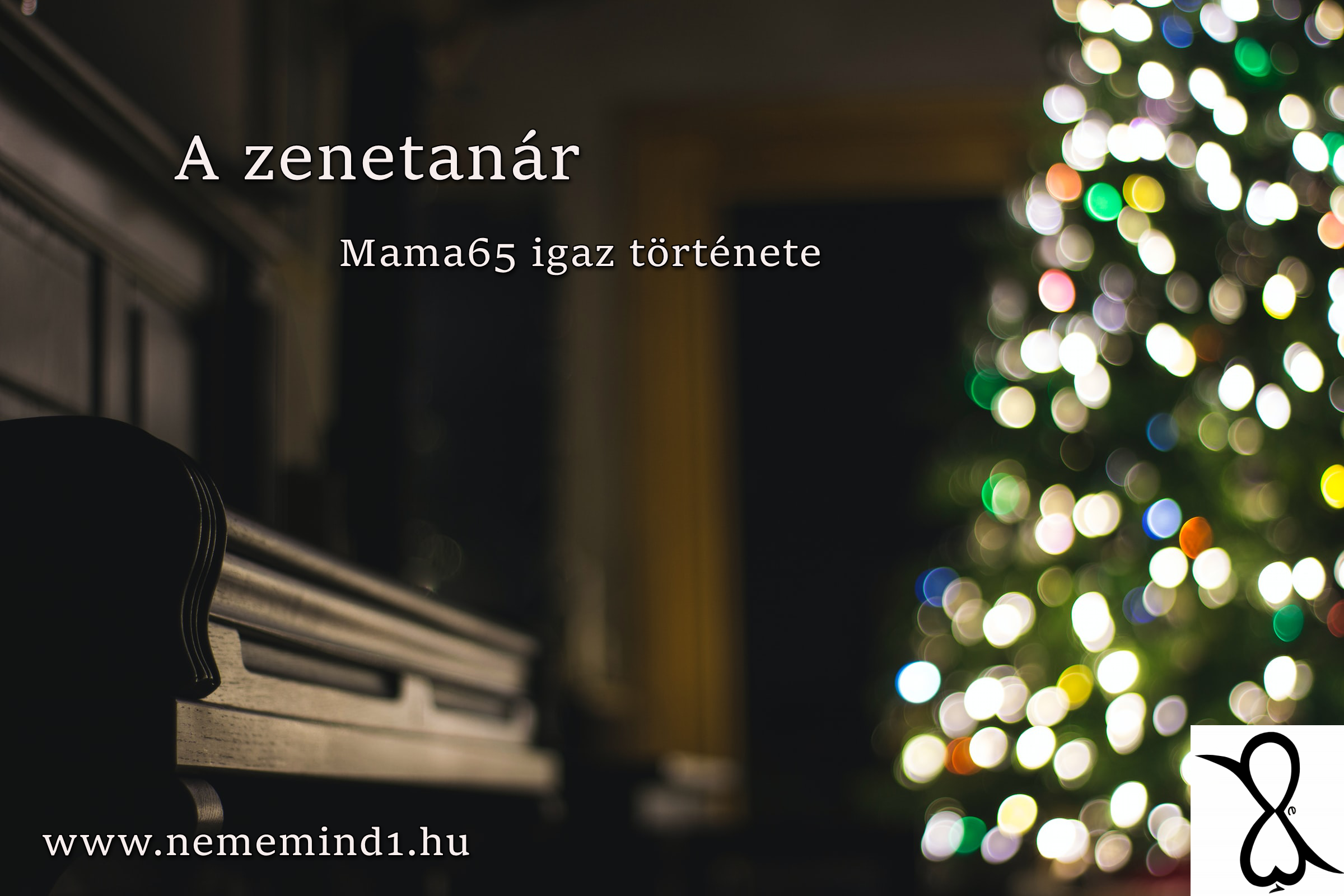 Read more about the article A zenetanár (Mama65 igaz története)