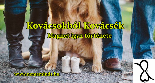 Read more about the article Kovácsokból Kovácsék (Magnet igaz története)