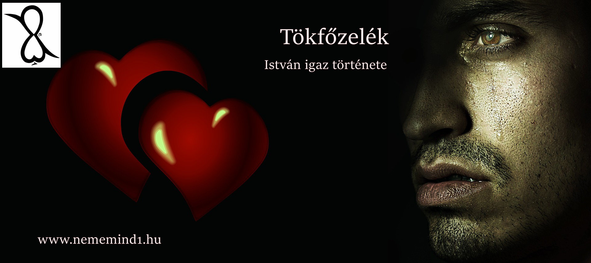 You are currently viewing Tökfőzelék (István igaz története)