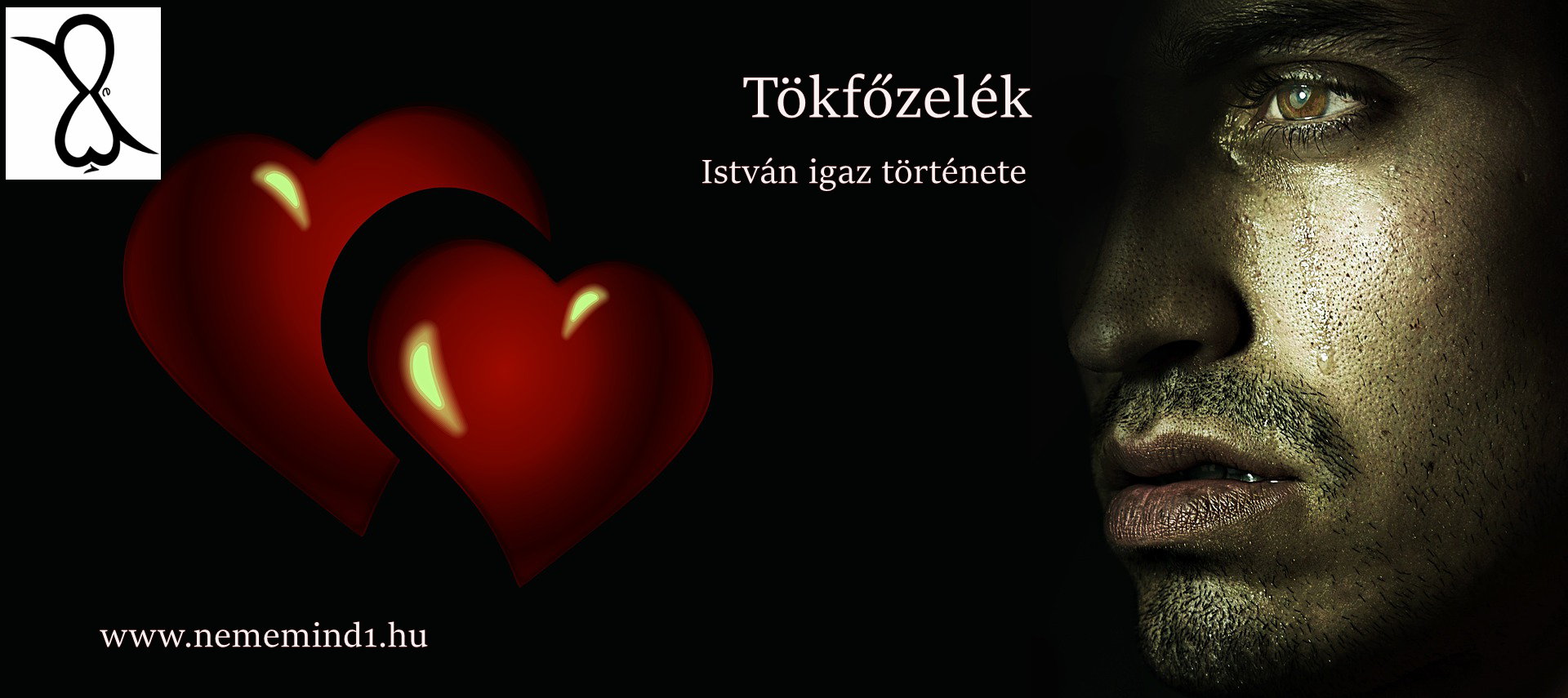 Read more about the article Tökfőzelék (István igaz története)