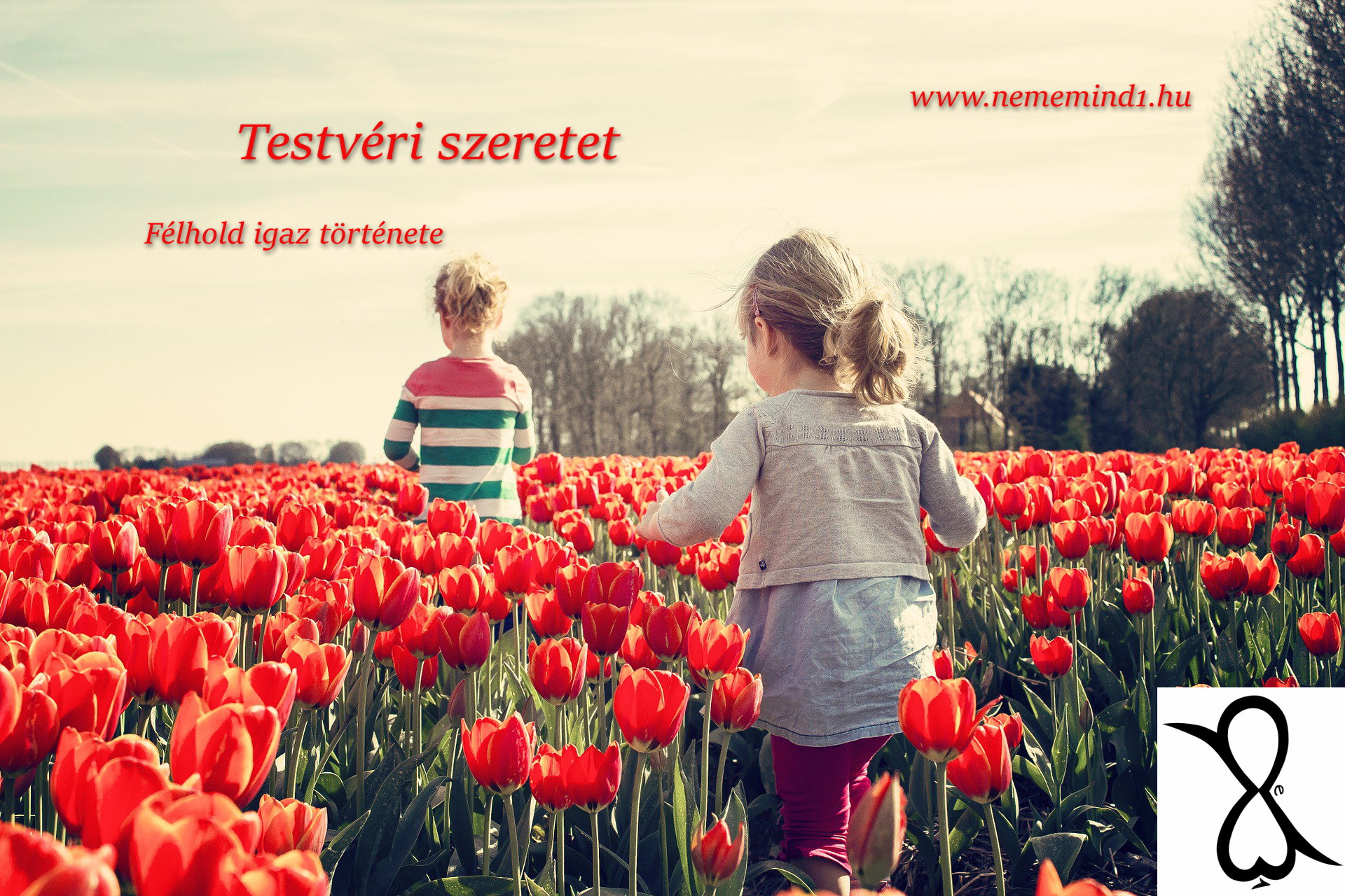 Read more about the article Testvéri szeretet (Félhold igaz története)