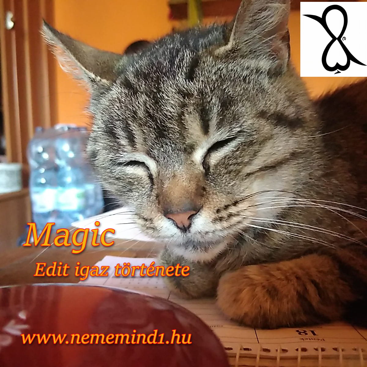 Read more about the article Magic (Edit igaz története)