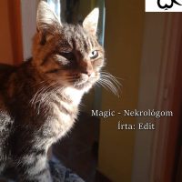 Magic-Nekrológom (Írta: Edit)