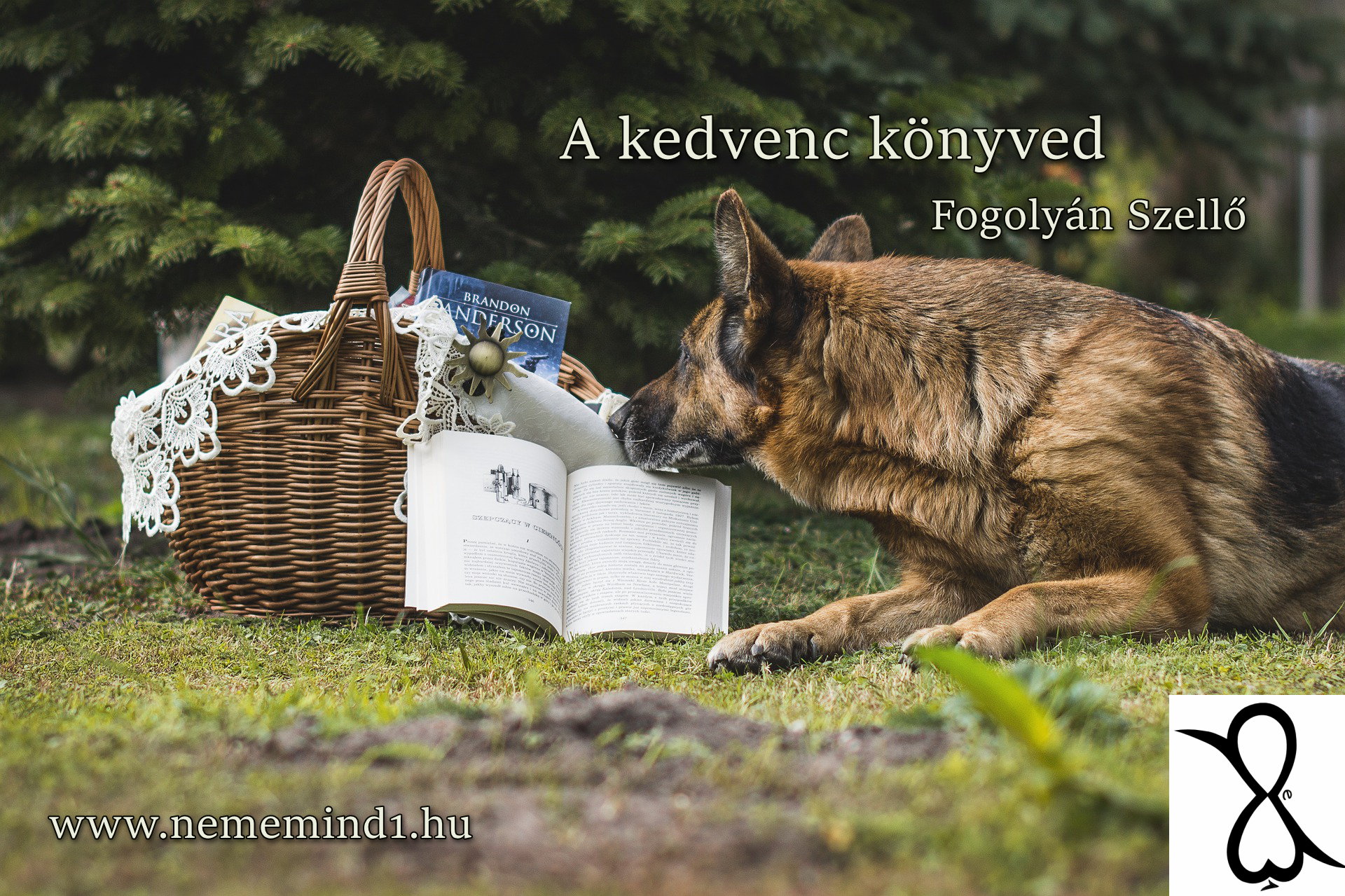 Read more about the article A kedvenc könyved (Írta: Fogolyán Szellő)