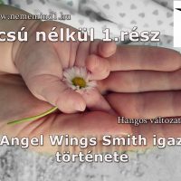Hangos igaz történeteink 57, Angel Wings Smith: Búcsú nélkül 1. rész