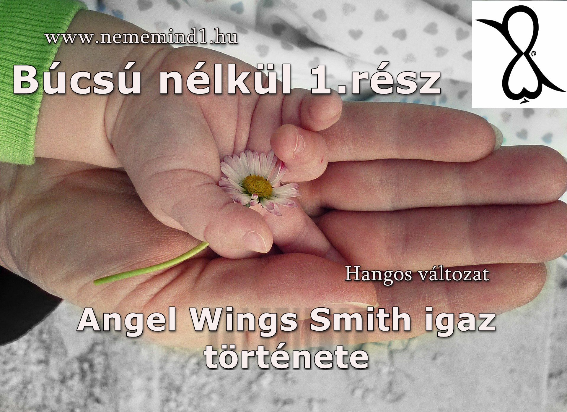 Read more about the article Hangos igaz történeteink 57, Angel Wings Smith: Búcsú nélkül 1. rész