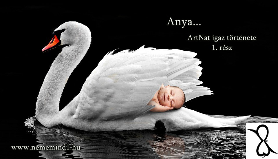 Read more about the article Anya… 1. rész (ArtNat igaz története)