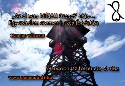 Read more about the article Hangos igaz történeteink 91, Wandoo: „Az el nem küldött üzenet” után… Egy szerelem szomorú, szép folytatása 5. rész