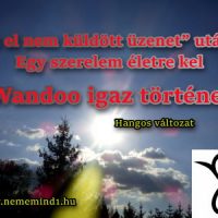 Hangos igaz történeteink 88, Wandoo: „Az el nem küldött üzenet” után… Egy szerelem életre kel 3. rész