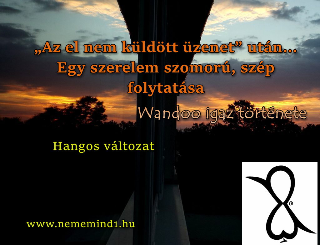 Read more about the article Hangos igaz történeteink 89, Wandoo: „Az el nem küldött üzenet” után… Egy szerelem szomorú, szép folytatása 4. rész