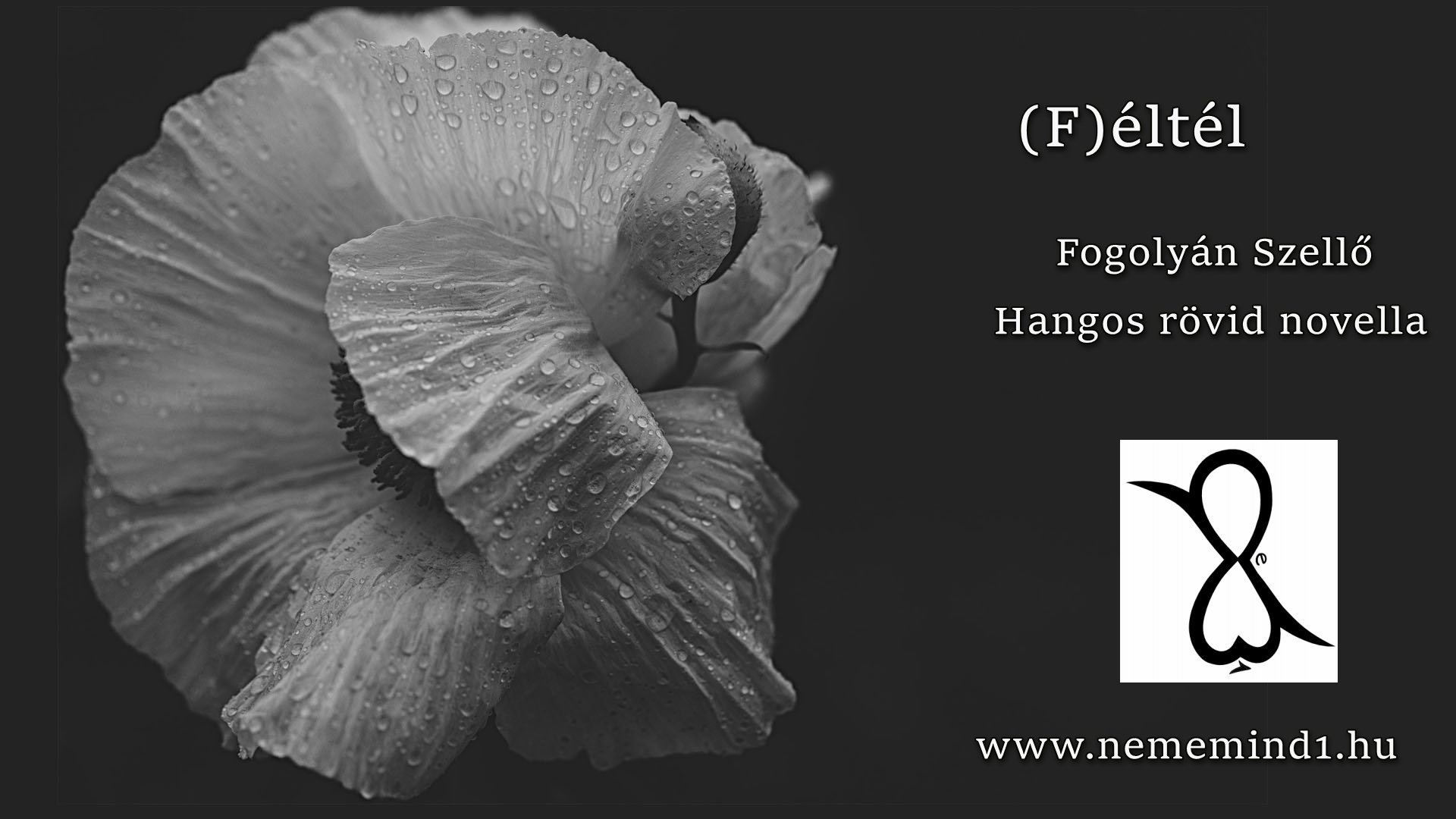 You are currently viewing Hangos Fogolyán Szellő (Harangi Emese) írások 78, (F)éltél /Rövid novella/