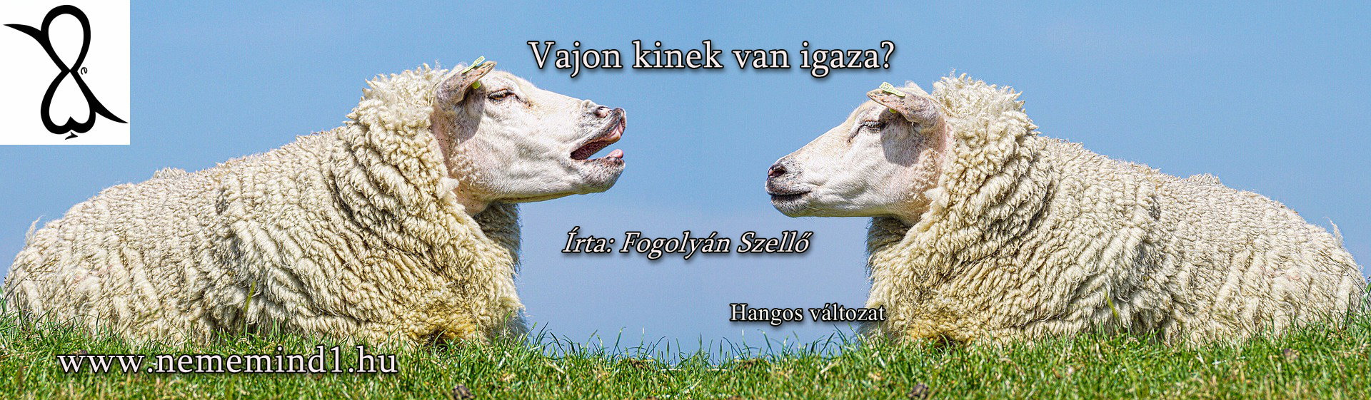 Read more about the article Hangos Fogolyán Szellő (Harangi Emese) írások 80, Vajon kinek van igaza? (Esszé)