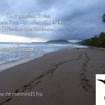 Hangos igaz történeteink 115, Do it yourself 3. rész Costa Rica – Minden zöld és él (Wandoo igaz története)