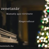 Hangos igaz történeteink 132, A zenetanár (Mama65 igaz története)