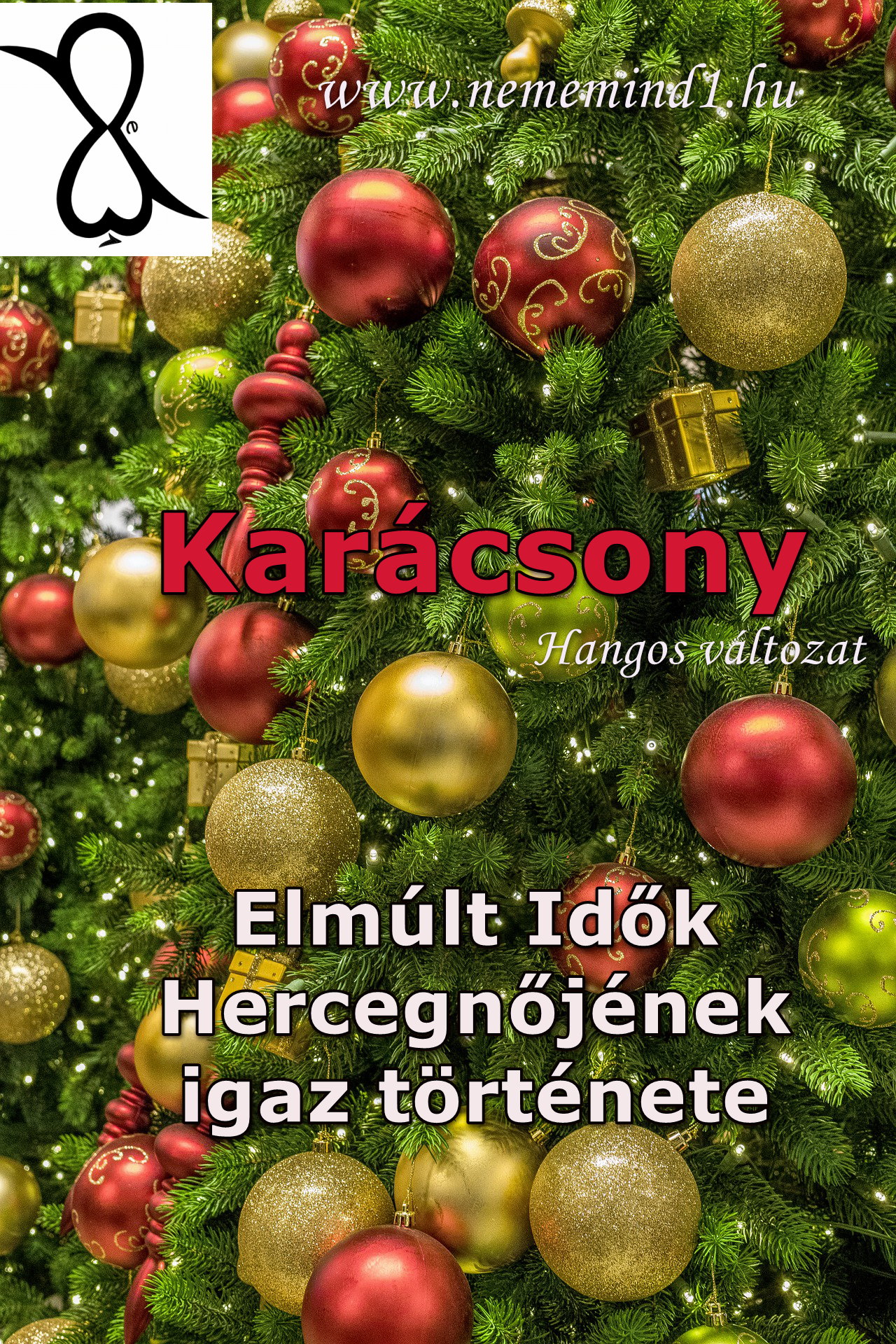 Read more about the article Hangos igaz történeteink 131, Karácsony (Elmúlt Idők Hercegnőjének igaz története)