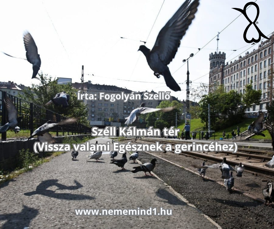 Read more about the article Fogolyán Szellő: Széll Kálmán tér (Vissza valami Egésznek a gerincéhez)
